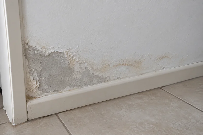 Imagen ilustrativa de un muro interior con manchas de humedad y pintura desprendida junto al guardapolvo